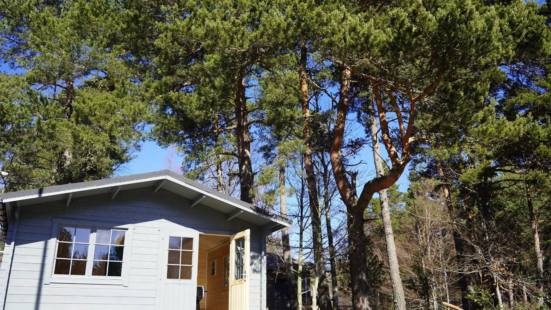 Lodge Avec Bain A Remous Privatif, Piscine, Salle De Sport Et Aire De Jeux Au Bord Du Golf De Chambon - Fr-1-582-370 Le Chambon-sur-Lignon 0*,  France